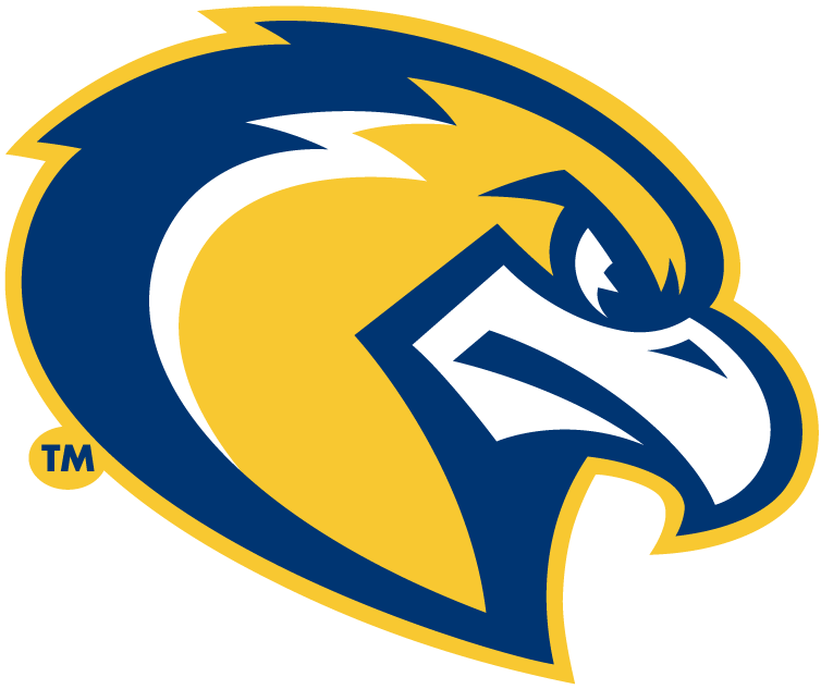 Marquette Golden Eagles 2005-Pres Alternate Logo diy fabric transfer